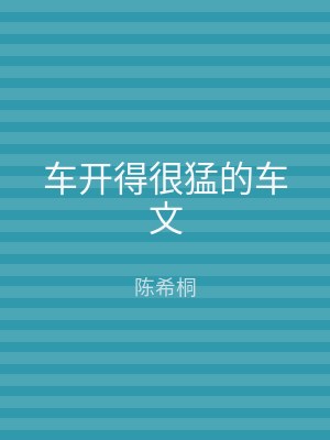车开得很猛的车文