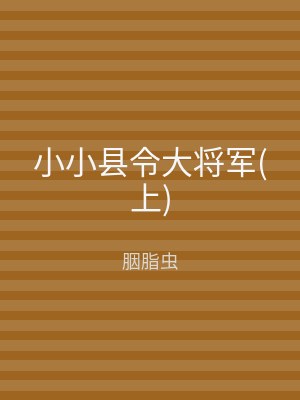 小小县令大将军(下)