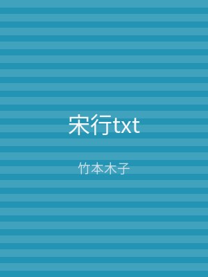宋行txt