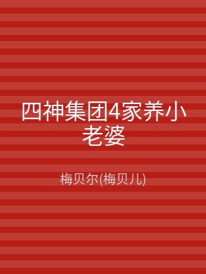 四神集团4家养小老婆