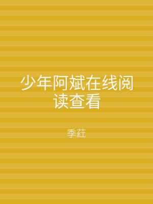 少年阿斌在线阅读查看