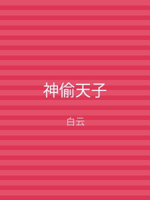 神偷天子