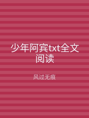 少年阿宾txt全文阅读