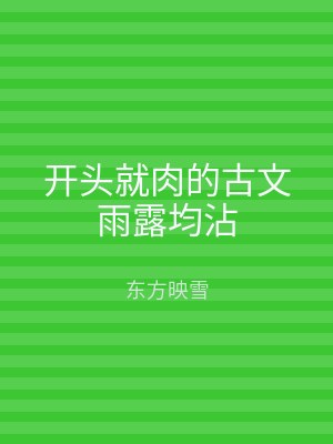 开头就肉的古文雨露均沾
