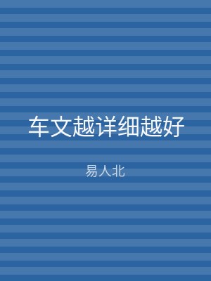 车文越详细越好