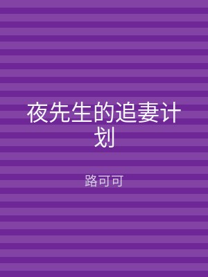 夜先生的追妻计划