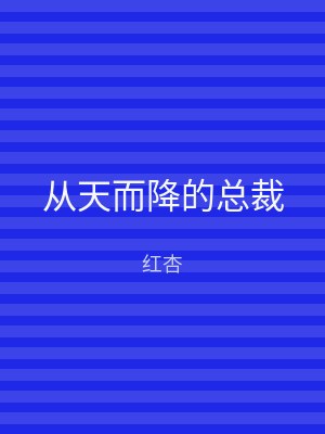 从天而降的总裁