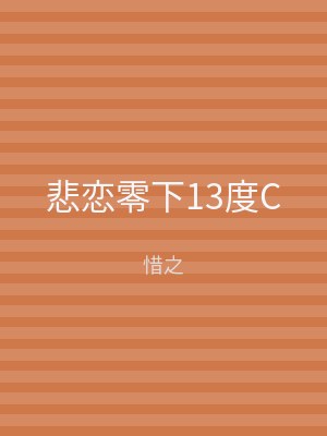 悲恋零下13度C