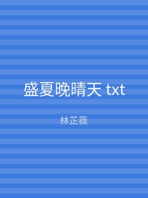 盛夏晚晴天 txt