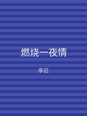 燃烧一夜情