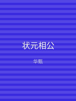 状元相公