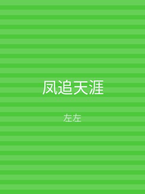 凤追天涯