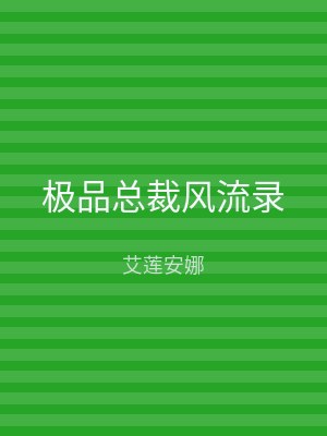 极品总裁风流录