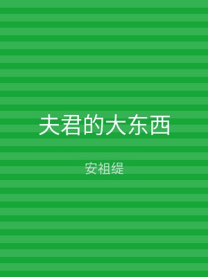 夫君的大东西