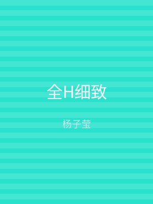 全H细致