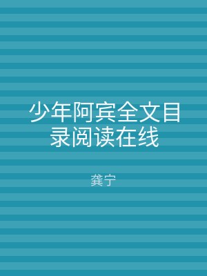 少年阿宾全文目录阅读在线