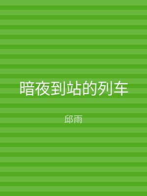 暗夜到站的列车