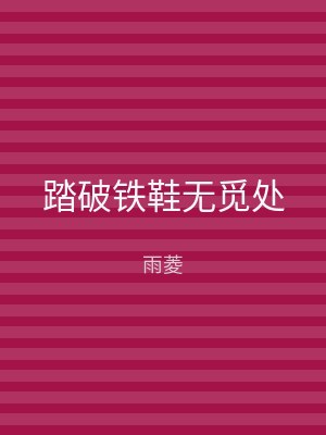 踏破铁鞋无觅处
