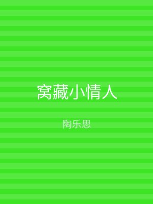 窝藏小情人