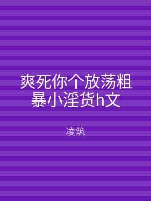 爽死你个放荡粗暴小淫货h文
