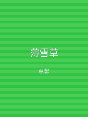 薄雪草