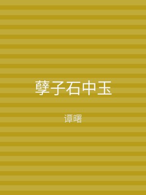 孽子石中玉