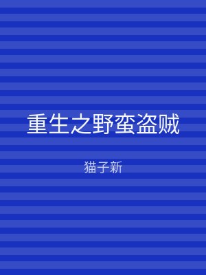 重生之野蛮盗贼