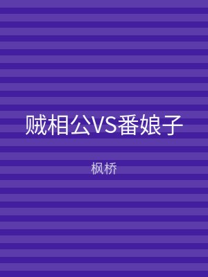 贼相公VS番娘子