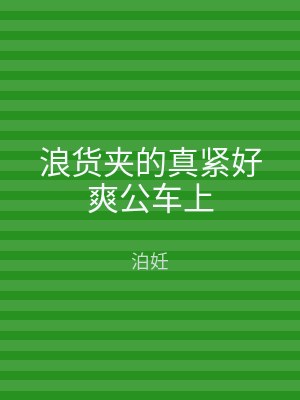浪货夹的真紧好爽公车上