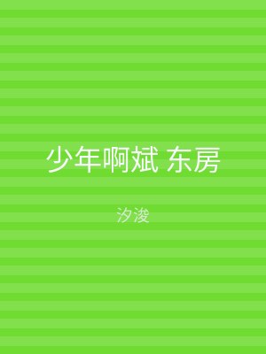 少年啊斌 东房