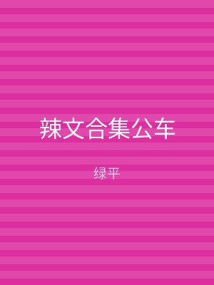 辣文合集公车