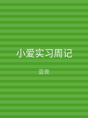 小爱实习周记