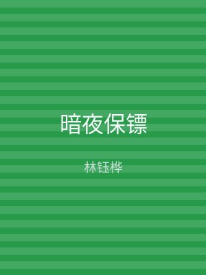 暗夜保镖