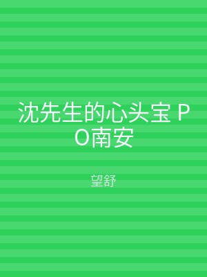 沈先生的心头宝 PO南安