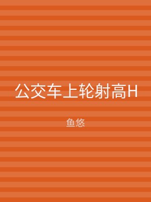 公交车上轮射高H