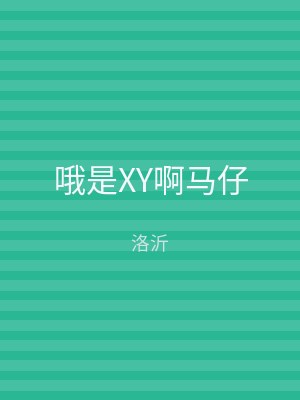 哦是XY啊马仔