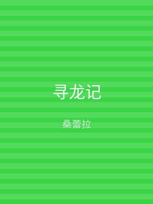 寻龙记
