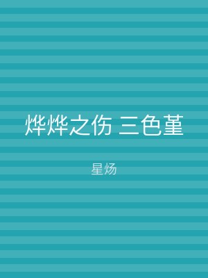 烨烨之伤 三色堇