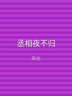 丞相夜不归