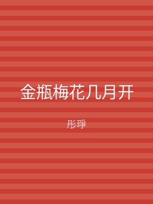 金瓶梅花几月开