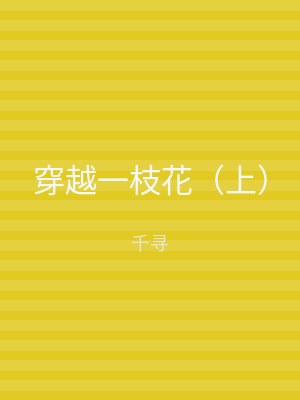 穿越一枝花（下）