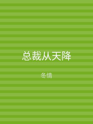 总裁从天降
