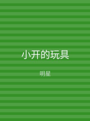 小开的玩具