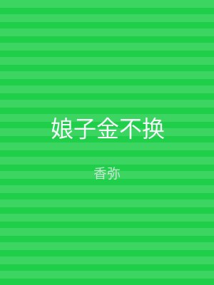 娘子金不换