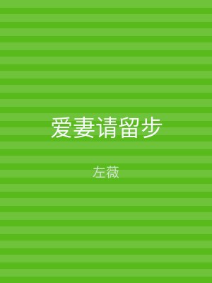 爱妻请留步