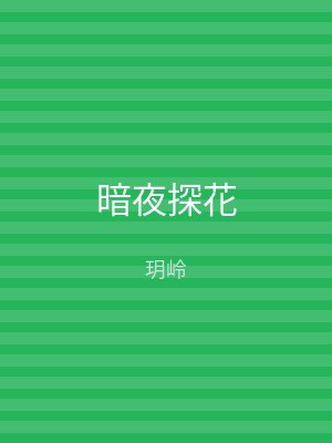 暗夜探花
