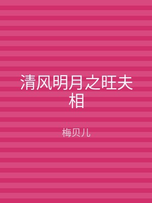 清风明月之旺夫相