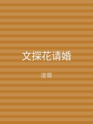 文探花请婚