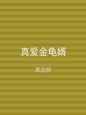 真爱金龟婿