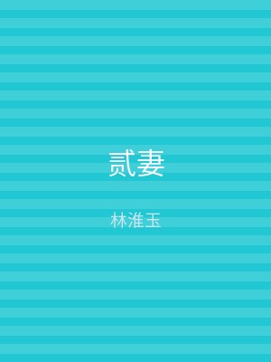 贰妻